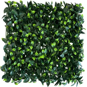gardenia 1
