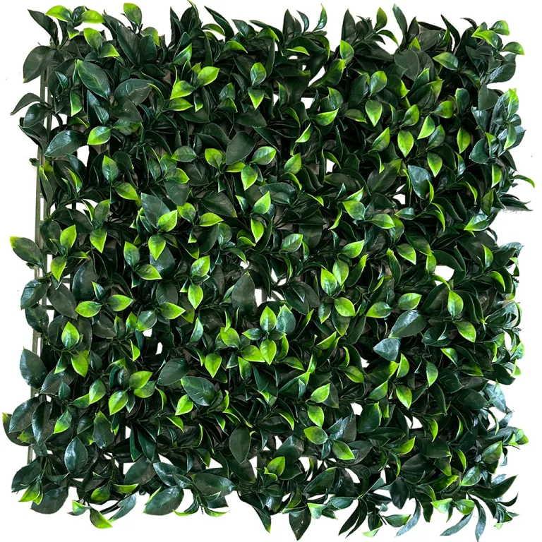gardenia 1 gardenia 1