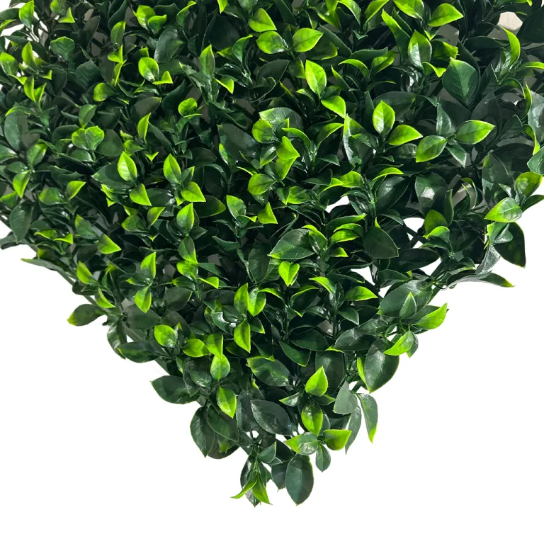 gardenia 7 gardenia 7